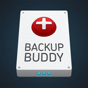 BackupBuddy v8.2.1.0 – Back up, restore and move WordPress