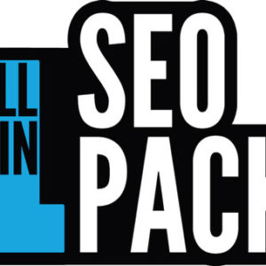 All in One SEO Pack Pro v2.4.4.1