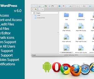 File Manager Plugin For WordPress v6.0