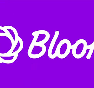 Bloom v1.2.1 – eMail Opt-In WordPress Plugin