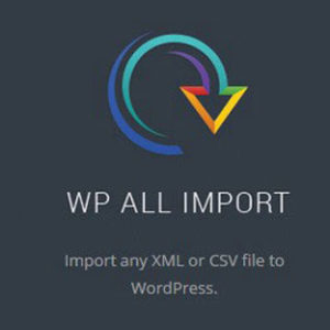 WP All Import Pro v4.3.2 & Export v1.4.1 + Addons