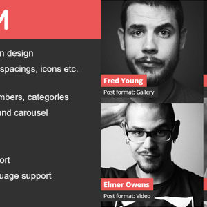 DV Team v1.6.1 – Responsive Team Showcase WordPress Plugin