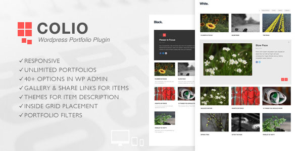 Colio v2.3.2 – Responsive Portfolio WordPress Plugin