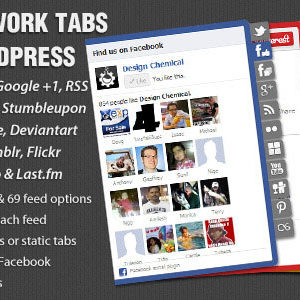 Social Network Tabs For WordPress v1.7.5