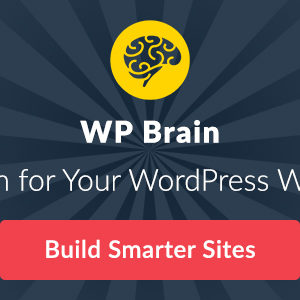 WP Brain v1.0.1 – A Brain for Your WordPress WebSite