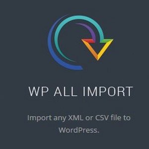 WP All Import Pro v4.4.8