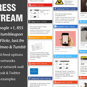 WordPress Social Stream v1.6.2