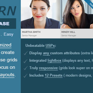 Modern Team Showcase v2.5.0 – WordPress Plugin