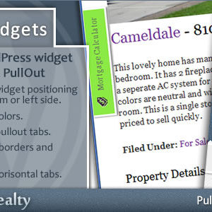 PullOut Widgets for WordPress v2.9.4