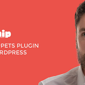 Rich Snippets WordPress Plugin v2.1.1