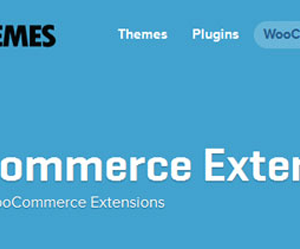 127 Woocommerce Extensions – Updated