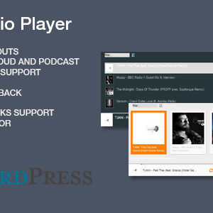 Sticky Audio Player for WordPress v1.1