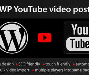 YouTube WordPress plugin v1.4.6 – video import