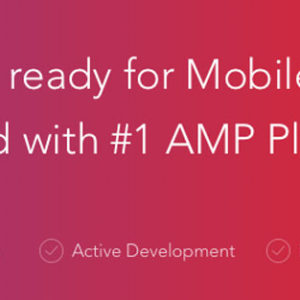 AMP for WP v1.0.34 + Extension Bundle