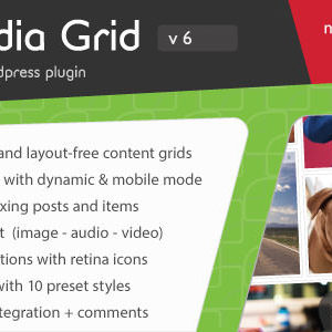 Media Grid v6.1 – WordPress Responsive Portfolio