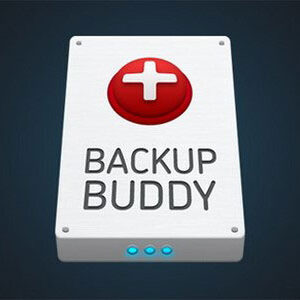 BackupBuddy v8.2.3.5 – Back up, restore and move WordPress