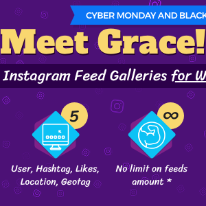 Instagram Feed Gallery – Grace for WordPress v1.1.3