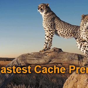 WP Fastest Cache Premium v1.4.4