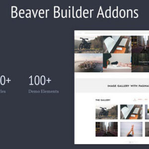 Livemesh – Addons for Beaver Builder Pro v2.0.1