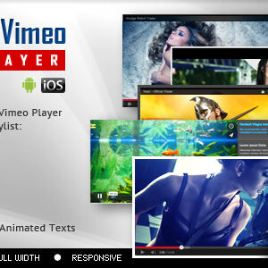 Youtube Vimeo Video Player and Slider v2.8.1.1