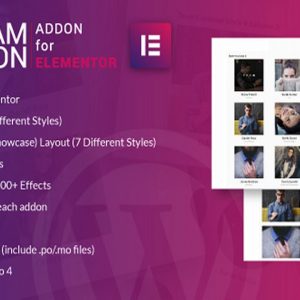 Teamvision v1.0 – Team Addons for WPBakery Page Builder