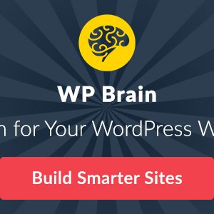 WP Brain v1.3.3 – A Brain for Your WordPress WebSite