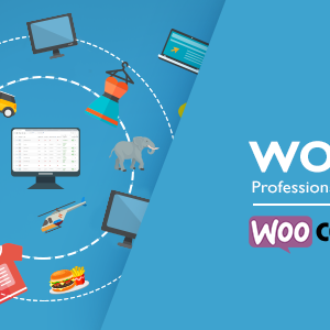 WOOBE v2.0.3 – WooCommerce Bulk Editor Professional