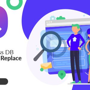 WordPress Database Search and Replace plugin v0.1.1