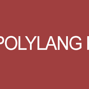 Polylang Pro v2.5.2 – Multilingual Plugin